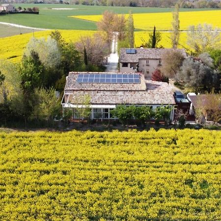 La Casa Di Tara B&B Armonia E Natura Recanati Dış mekan fotoğraf