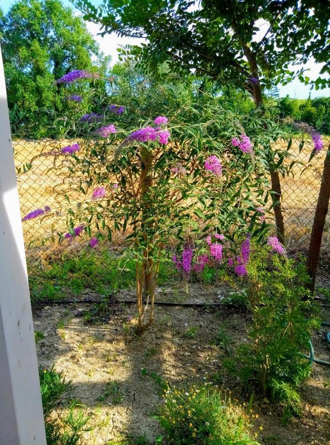 La Casa Di Tara B&B Armonia E Natura Recanati Dış mekan fotoğraf