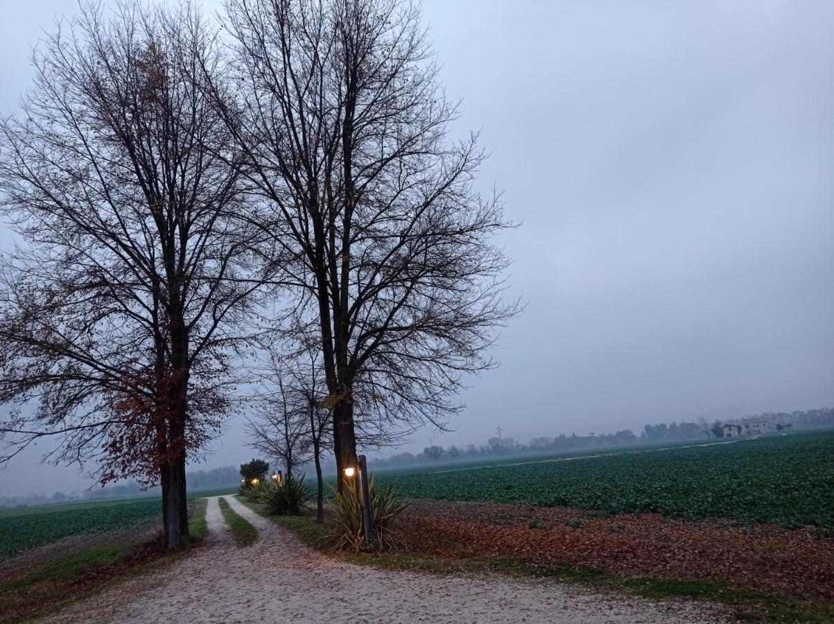 La Casa Di Tara B&B Armonia E Natura Recanati Dış mekan fotoğraf