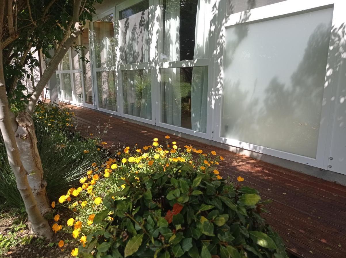 La Casa Di Tara B&B Armonia E Natura Recanati Dış mekan fotoğraf
