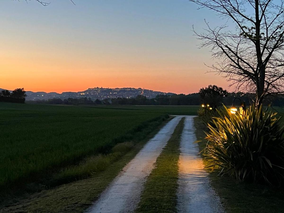 La Casa Di Tara B&B Armonia E Natura Recanati Dış mekan fotoğraf