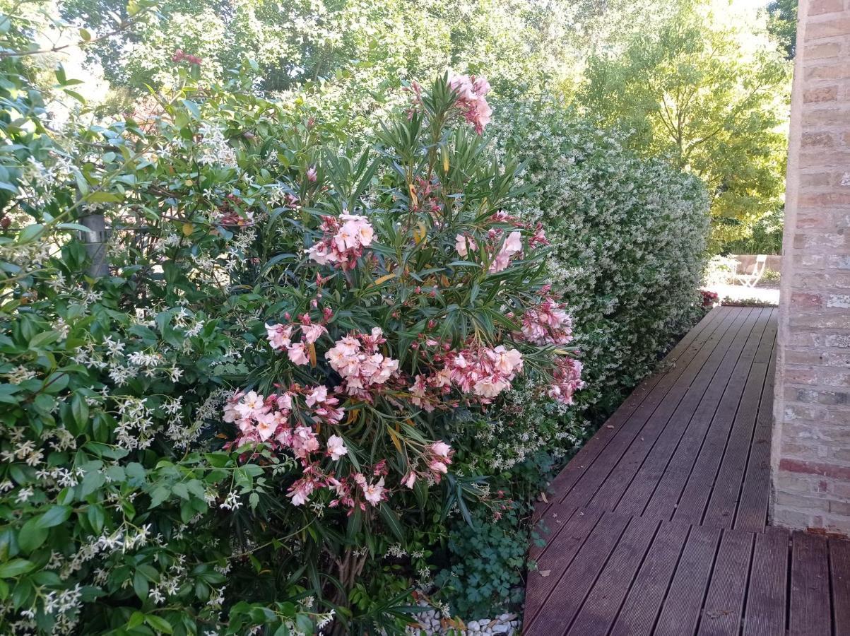 La Casa Di Tara B&B Armonia E Natura Recanati Dış mekan fotoğraf