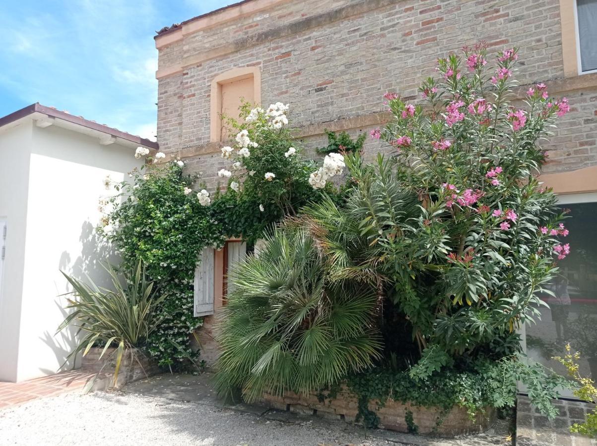 La Casa Di Tara B&B Armonia E Natura Recanati Dış mekan fotoğraf