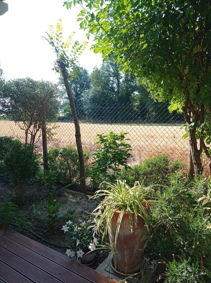 La Casa Di Tara B&B Armonia E Natura Recanati Dış mekan fotoğraf