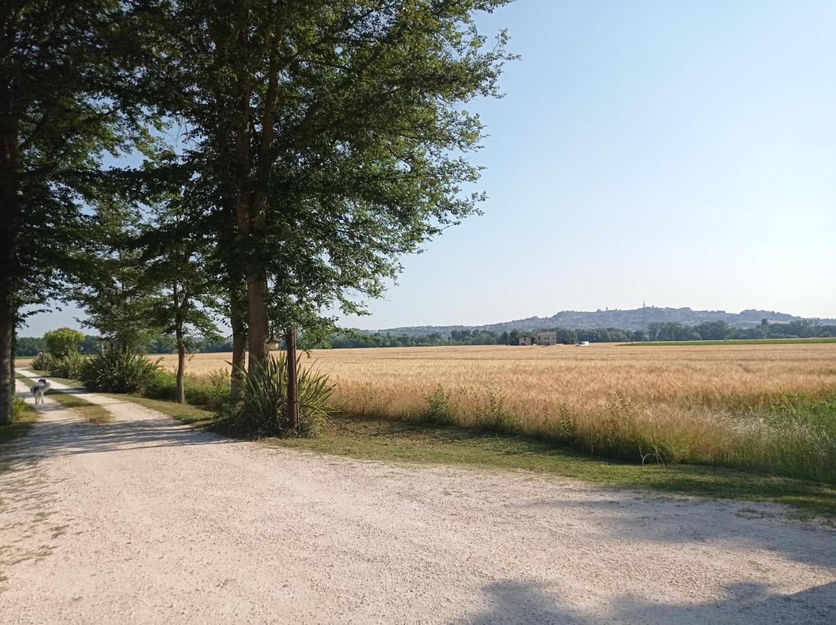 La Casa Di Tara B&B Armonia E Natura Recanati Dış mekan fotoğraf