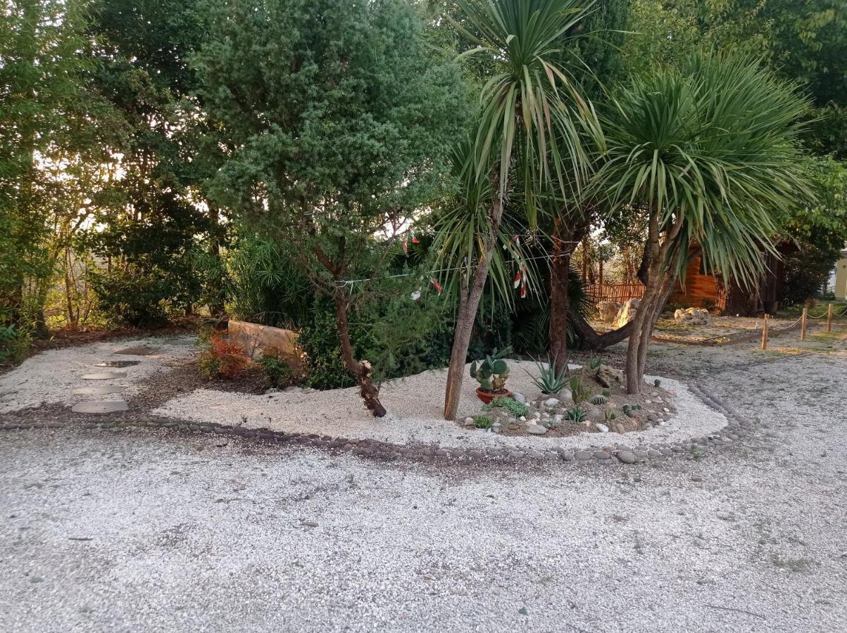 La Casa Di Tara B&B Armonia E Natura Recanati Dış mekan fotoğraf