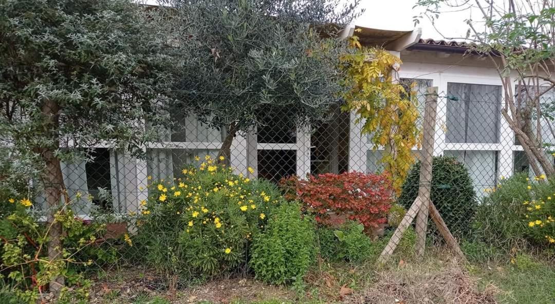 La Casa Di Tara B&B Armonia E Natura Recanati Dış mekan fotoğraf