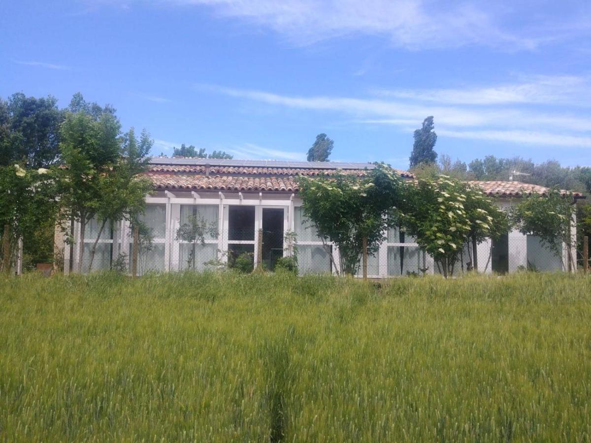 La Casa Di Tara B&B Armonia E Natura Recanati Dış mekan fotoğraf