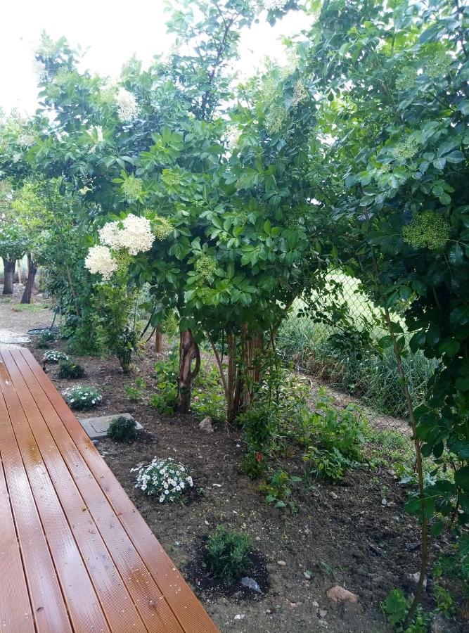 La Casa Di Tara B&B Armonia E Natura Recanati Dış mekan fotoğraf