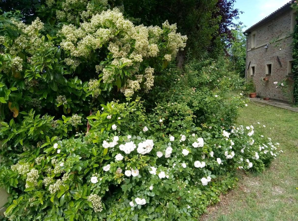 La Casa Di Tara B&B Armonia E Natura Recanati Dış mekan fotoğraf