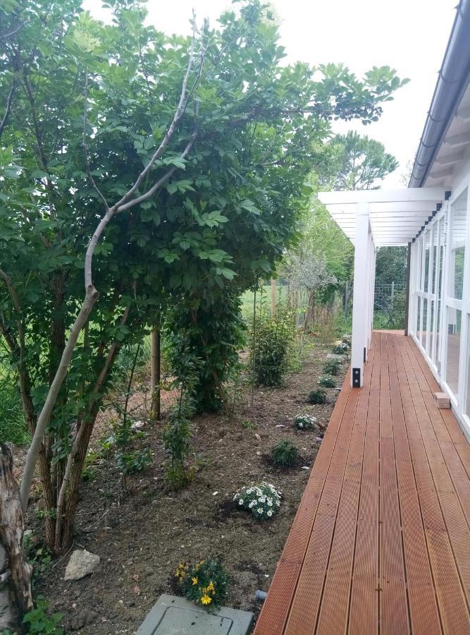 La Casa Di Tara B&B Armonia E Natura Recanati Dış mekan fotoğraf
