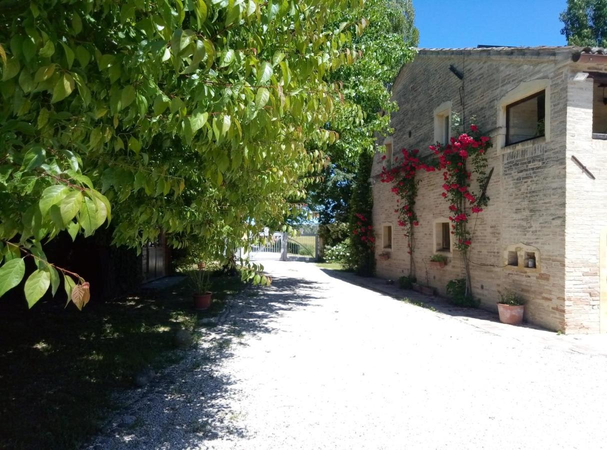 La Casa Di Tara B&B Armonia E Natura Recanati Dış mekan fotoğraf